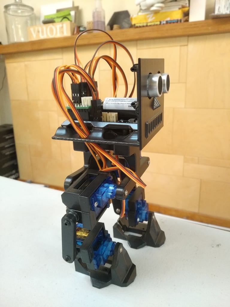 Biped 3DoT Robot